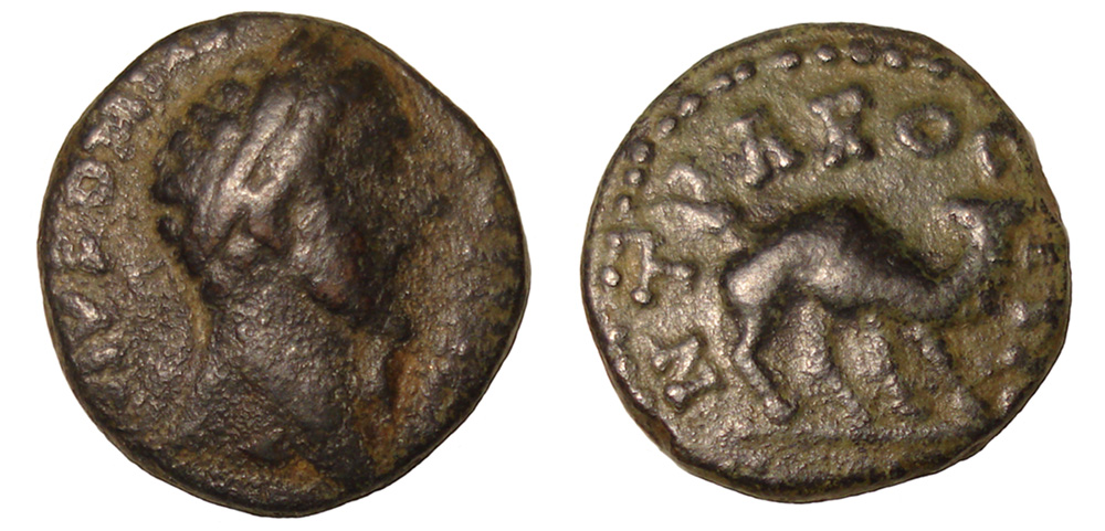My-First-Animal-On-A-Coin.