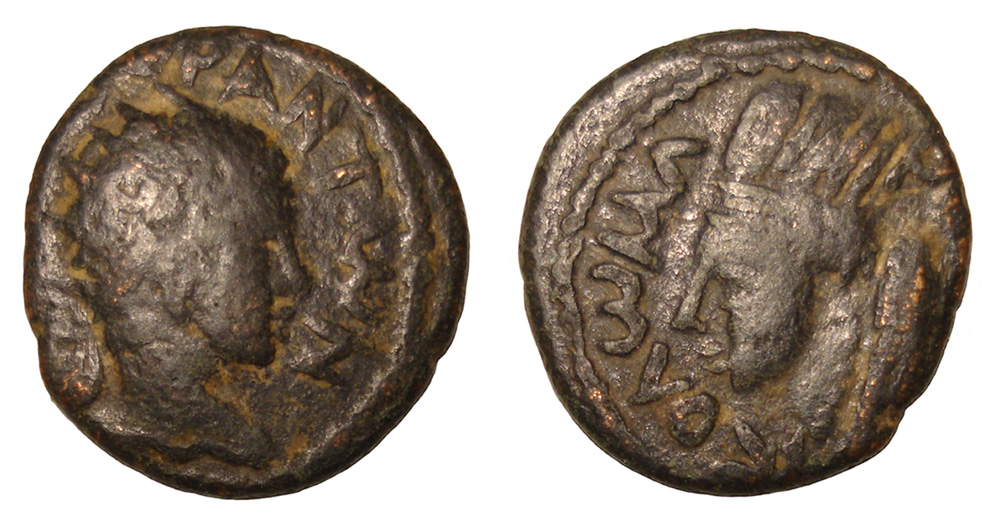 Elagabalus,-Laureate-And-Radiate-From-Edessa