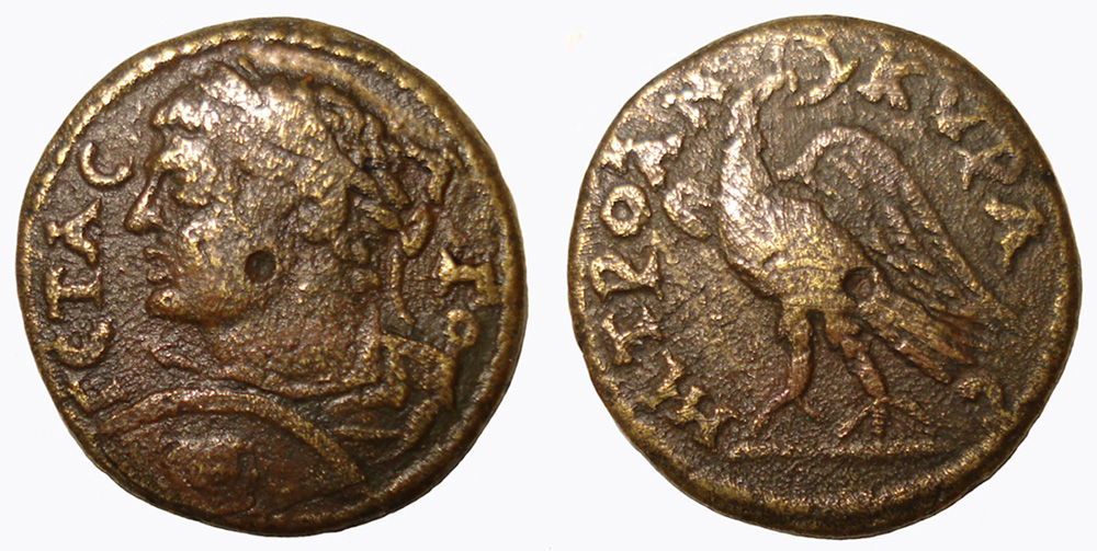 My-First-Animal-On-A-Coin.