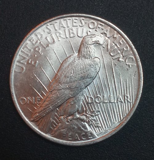1923-Peace-Dollar.--Guesses?