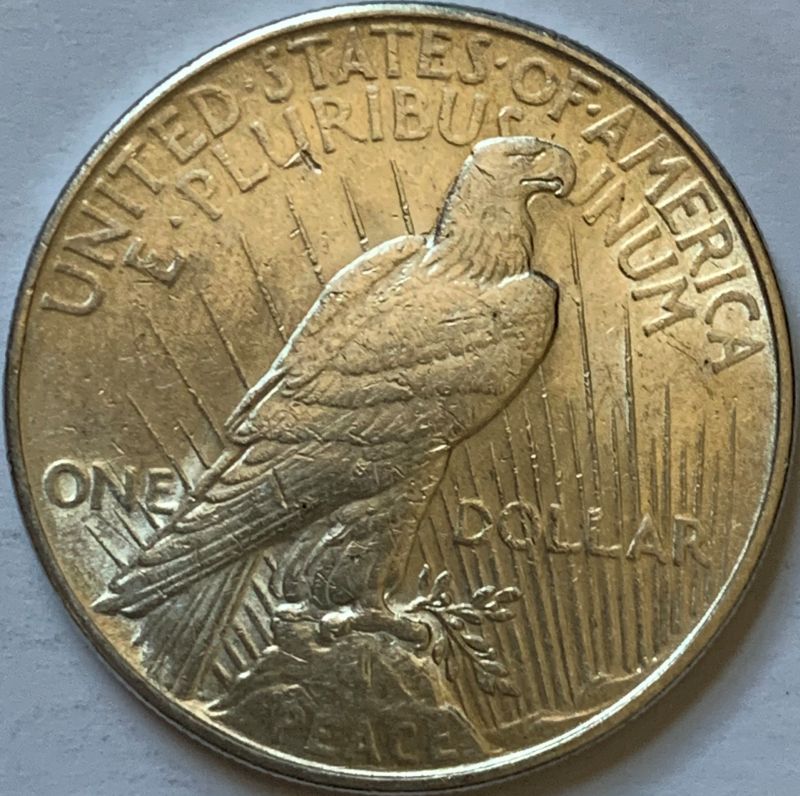 1922-Silver-Peace-Dollar---Grading-Help-Please