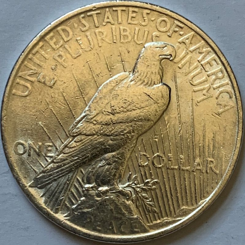 1922-Silver-Peace-Dollar---Grading-Help-Please