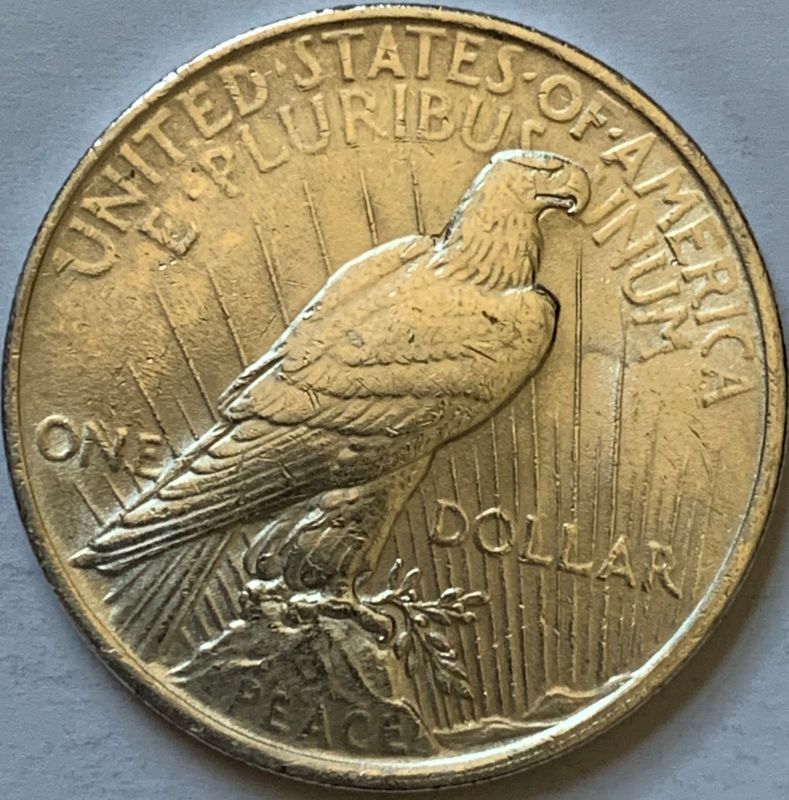 1922-Silver-Peace-Dollar---Grading-Help-Please