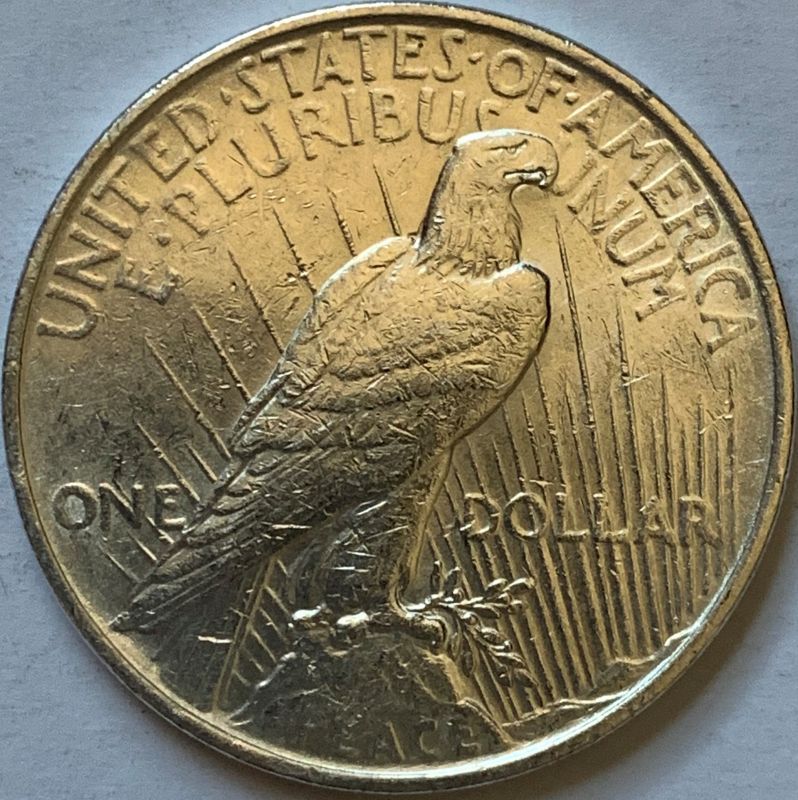 1922-Silver-Peace-Dollar---Grading-Help-Please