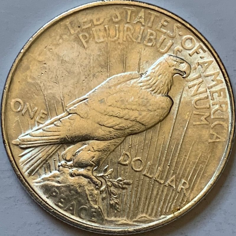 1922-Silver-Peace-Dollar---Grading-Help-Please