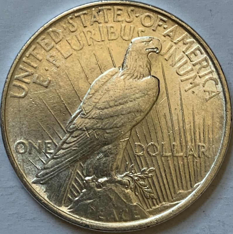 1922-Silver-Peace-Dollar---Grading-Help-Please