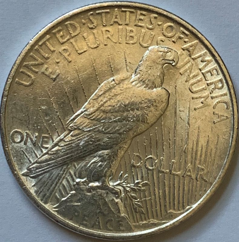 1922-Silver-Peace-Dollar---Grading-Help-Please
