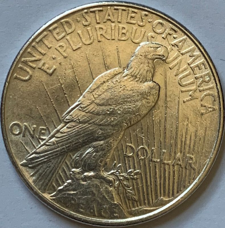 1922-Silver-Peace-Dollar---Grading-Help-Please
