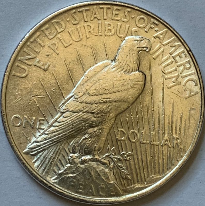 1922-Silver-Peace-Dollar---Grading-Help-Please