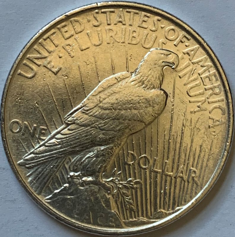 1922-Silver-Peace-Dollar---Grading-Help-Please