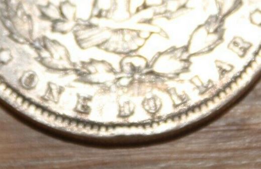 1895-P-Morgan...-Real-Or-Not?