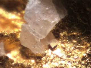 Aussie-Gold-Finds