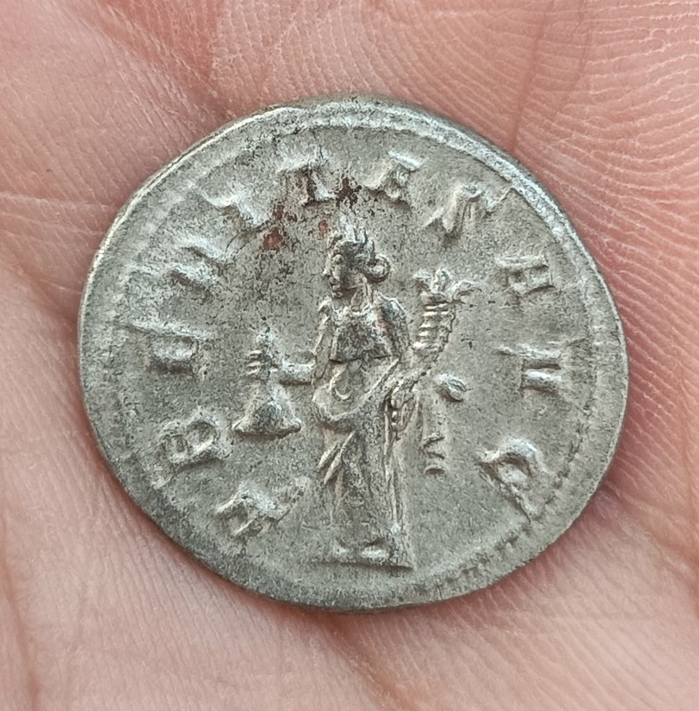 Several-Roman-Coins-To-Verify