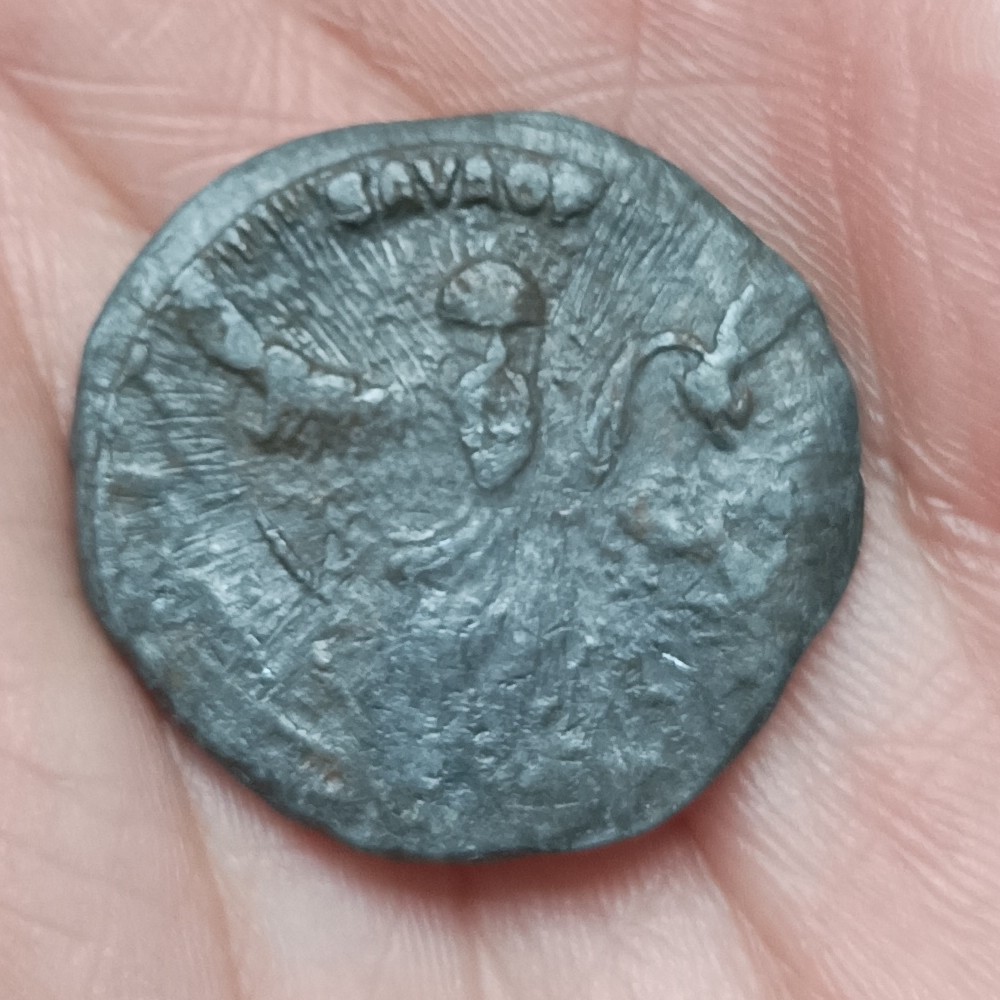 Several-Coins-Bought-Long-Time-Ago,-Are-They-Genuine?-Please-Help.