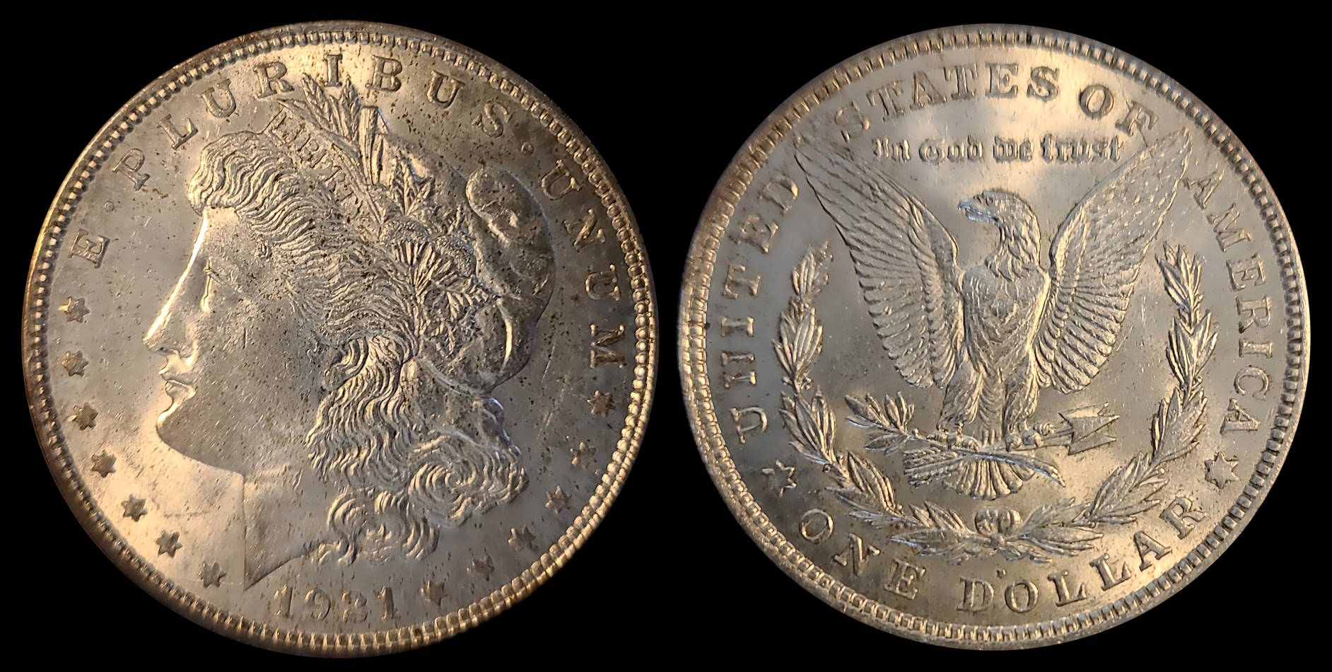 NumisƐd's-Morgan-Dollar-Date-Set