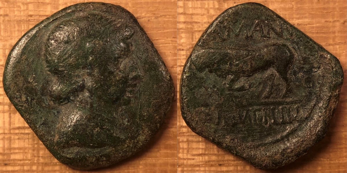My-First-Animal-On-A-Coin.