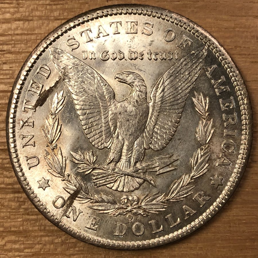 Lamination-On-A-1902-O-Morgan--Is-It-Collectible?