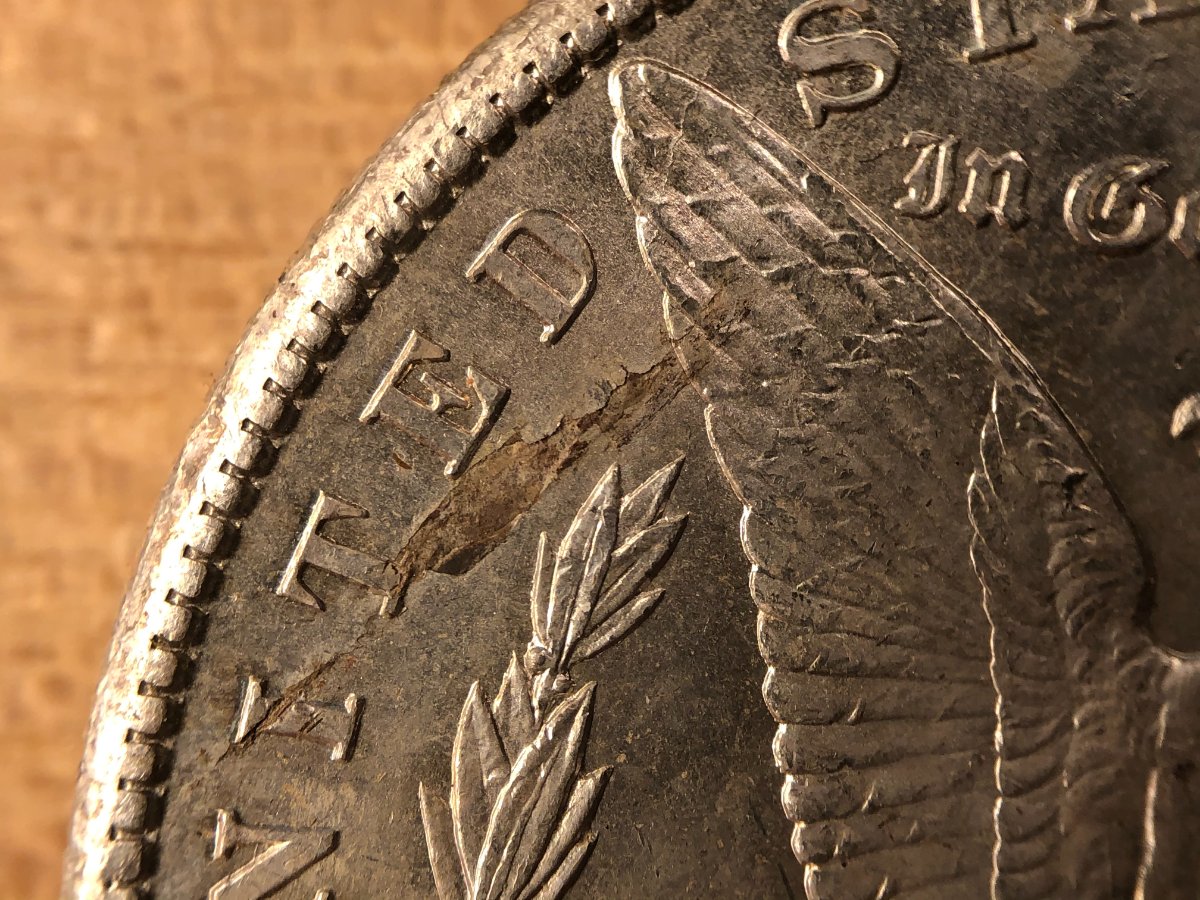 Lamination-On-A-1902-O-Morgan--Is-It-Collectible?