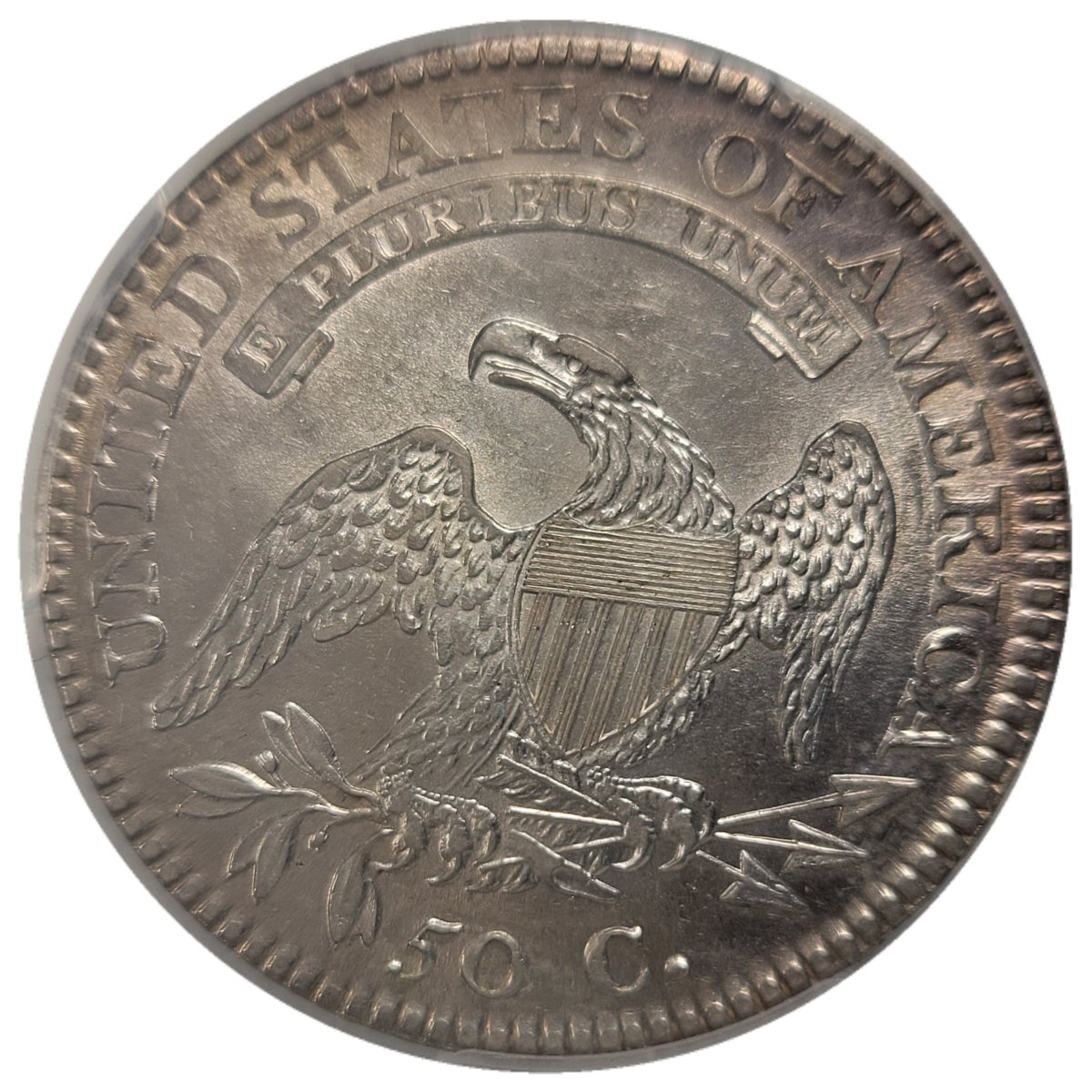 A-Date-Run-Of-Capped-Bust-Half-Dollars