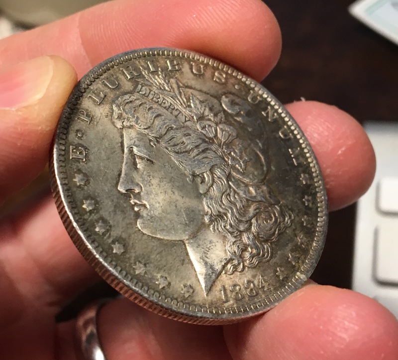 A-Couple-Recent-Pickups:-1884-O-Morgan-Dollar-Grading