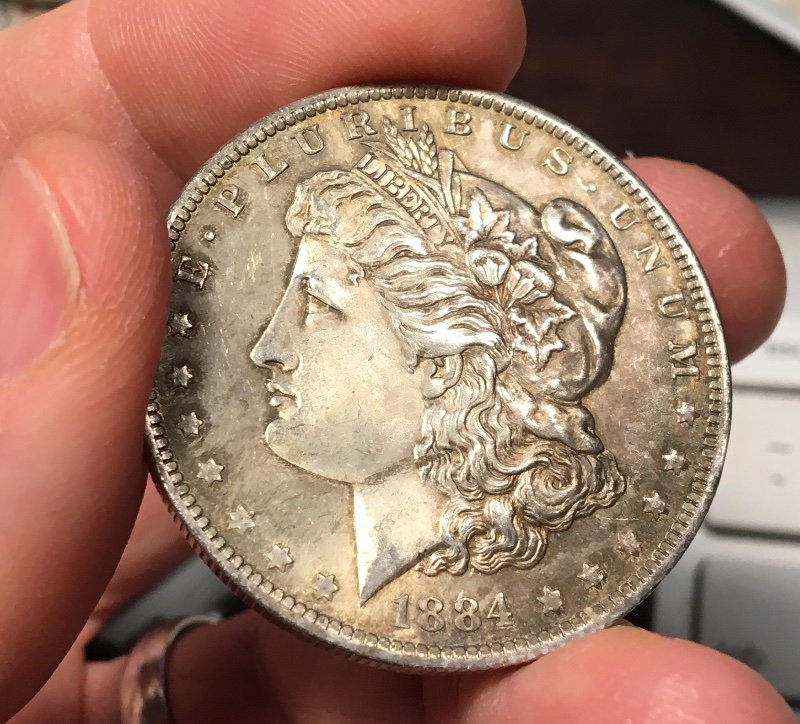 A-Couple-Recent-Pickups:-1884-O-Morgan-Dollar-Grading
