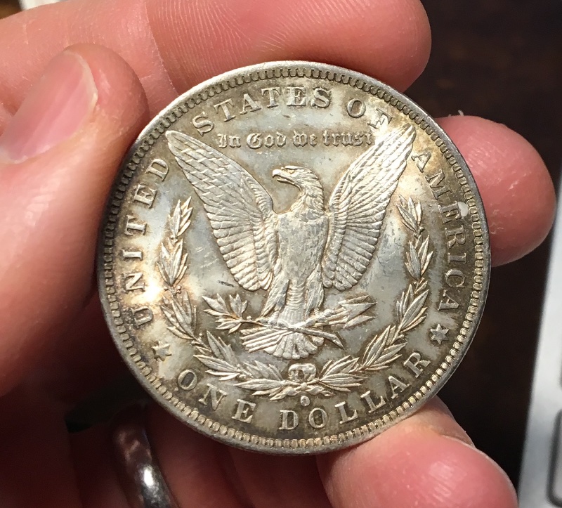 A-Couple-Recent-Pickups:-1884-O-Morgan-Dollar-Grading