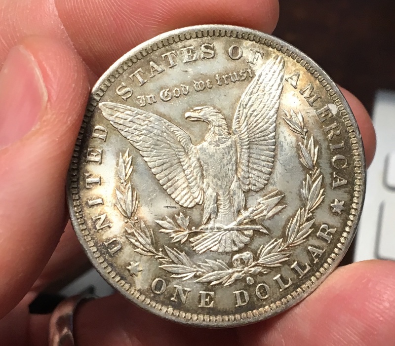 A-Couple-Recent-Pickups:-1884-O-Morgan-Dollar-Grading