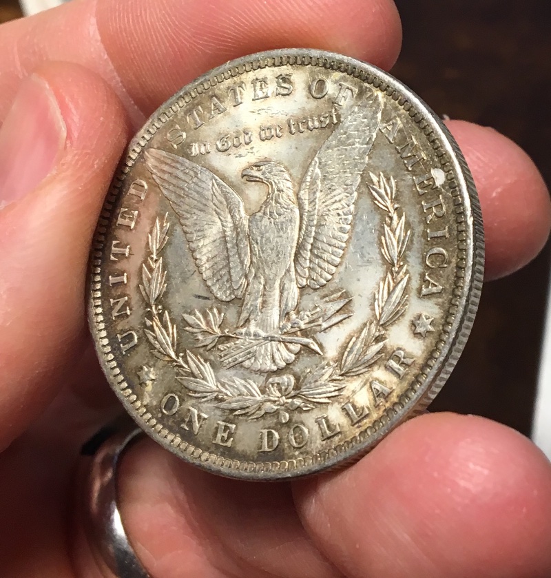 A-Couple-Recent-Pickups:-1884-O-Morgan-Dollar-Grading