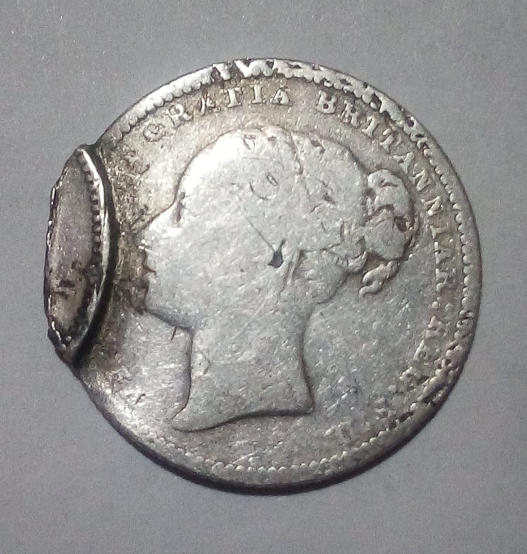 New-From-New-Zealand