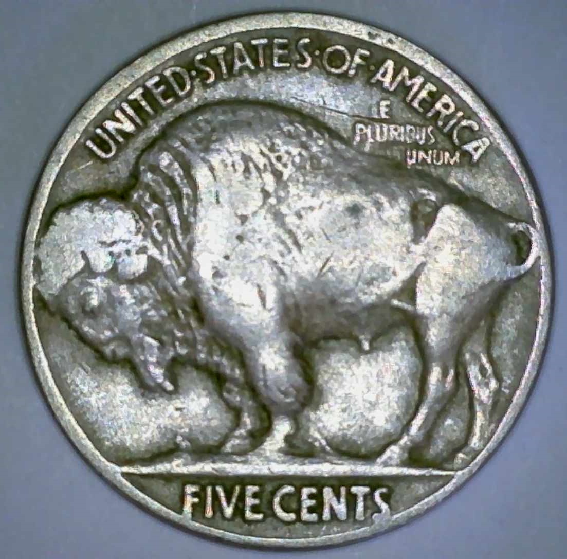 1914-Buffalo-Found-In-Wall-Today-Grade-Please