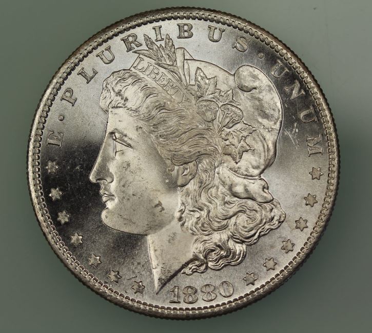 1880-S-Morgan-Grading-Thanks
