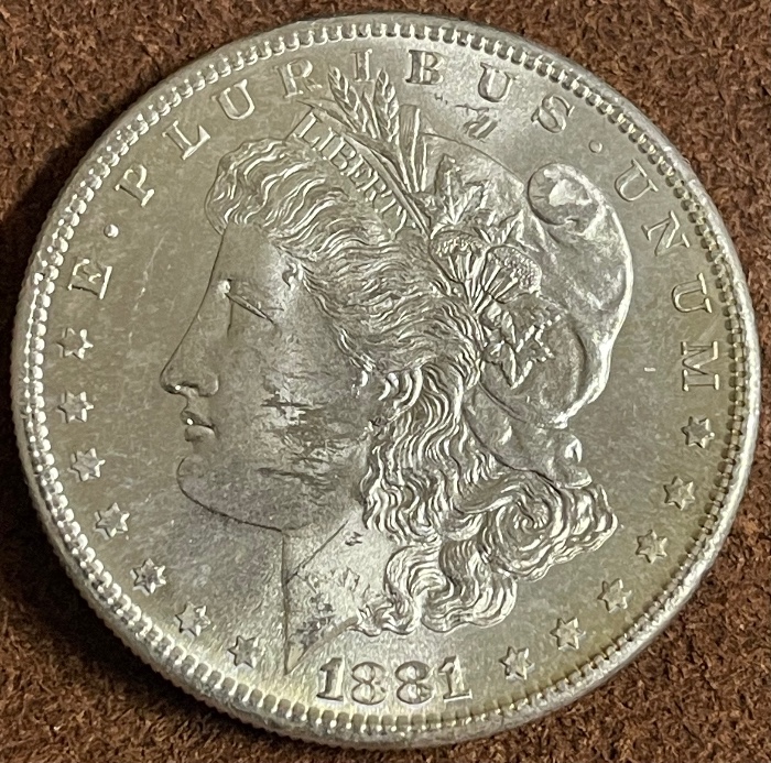 1881-S-Morgan---Grade-It!