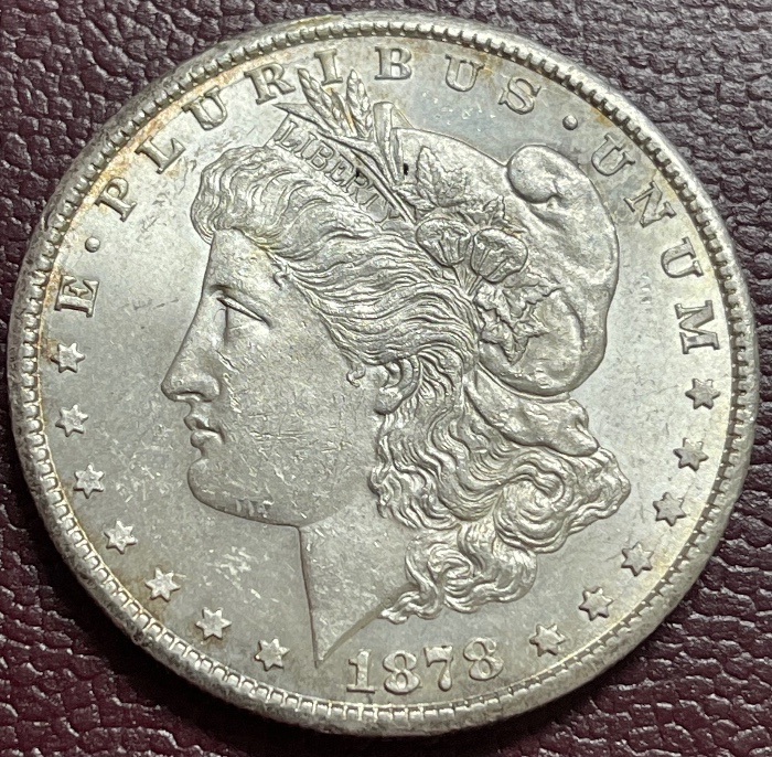 1878-CC-Morgan-Dollar---Grade-It!