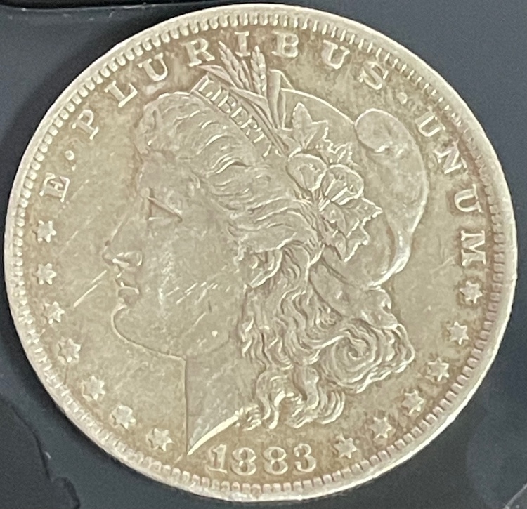 1883-O-Morgan---Non-Diagnostic-Crack?