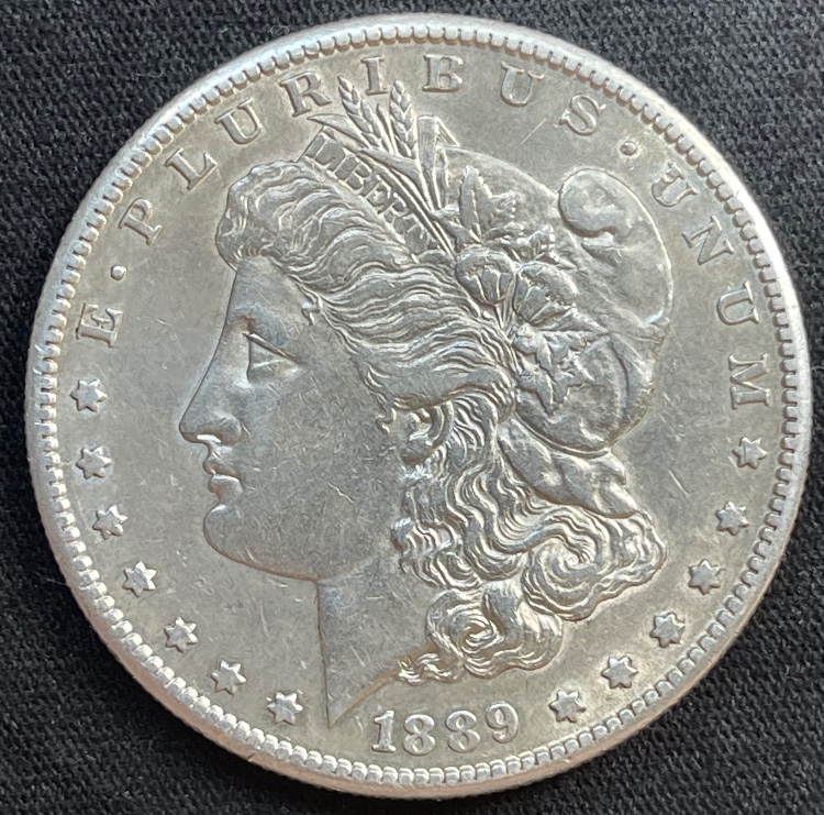 1889-S-Morgan---Grade-It!