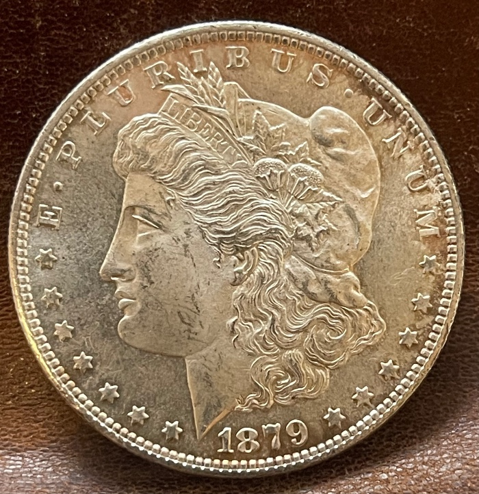 1879-S-Morgan-Dollar---Grade-It!