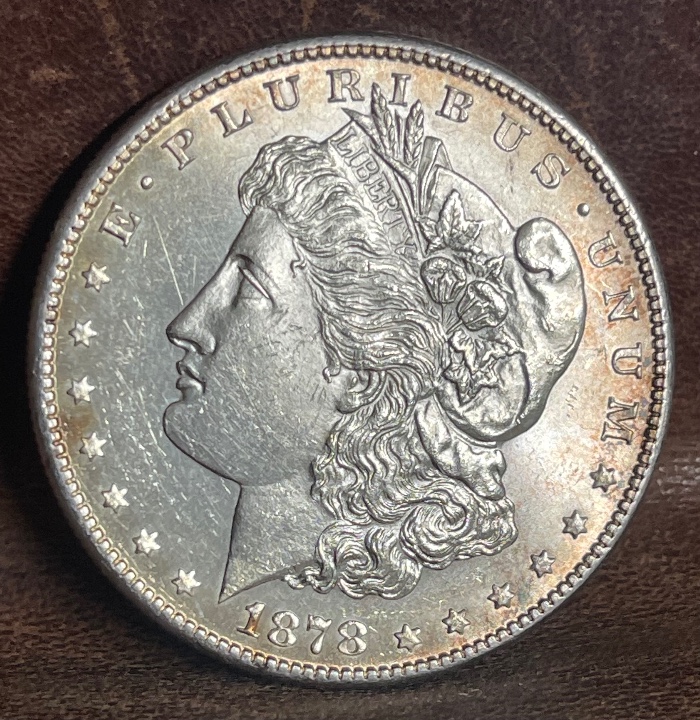 1878-S-Morgan-Grade-It!