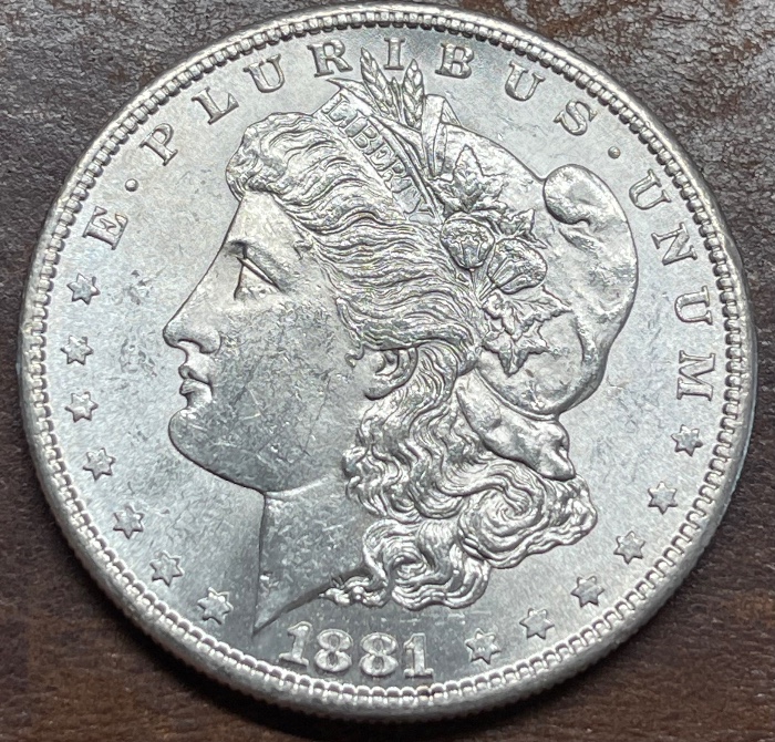 1881-S-Morgan---Grade-It!