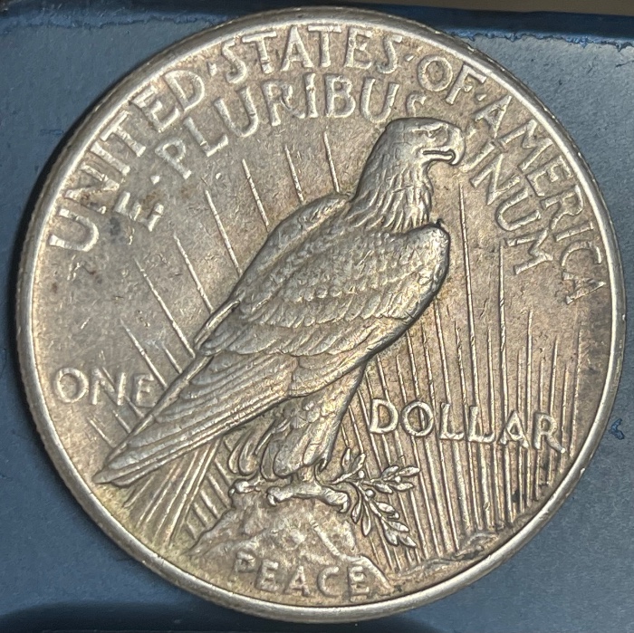 1927-P-Peace-Dollar---Grade-It