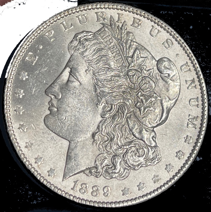 1889-P-Morgan---Grade-It