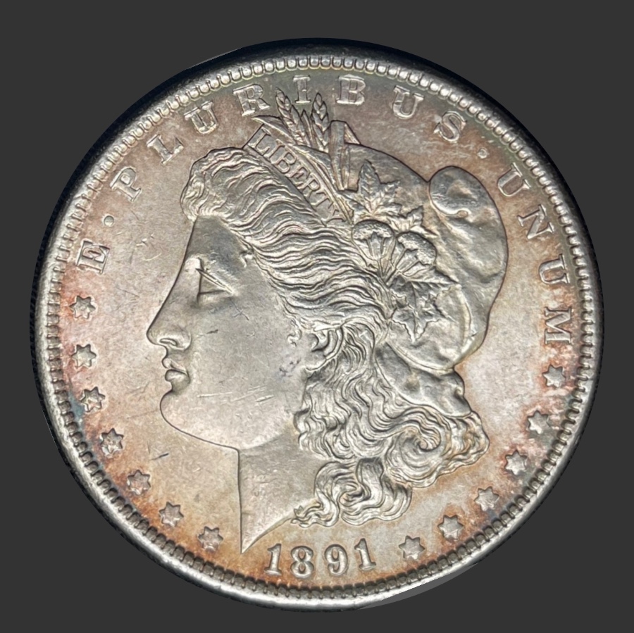 1891-P-Morgan---Grade-It!