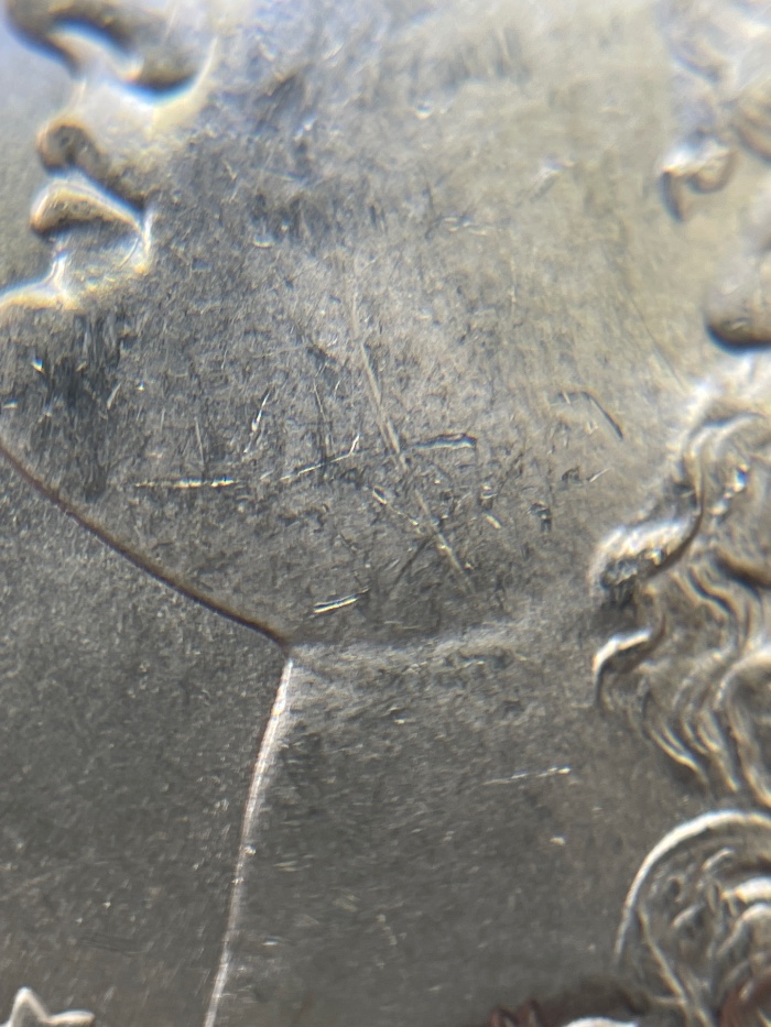 1901-S-Morgan---Grade-It!