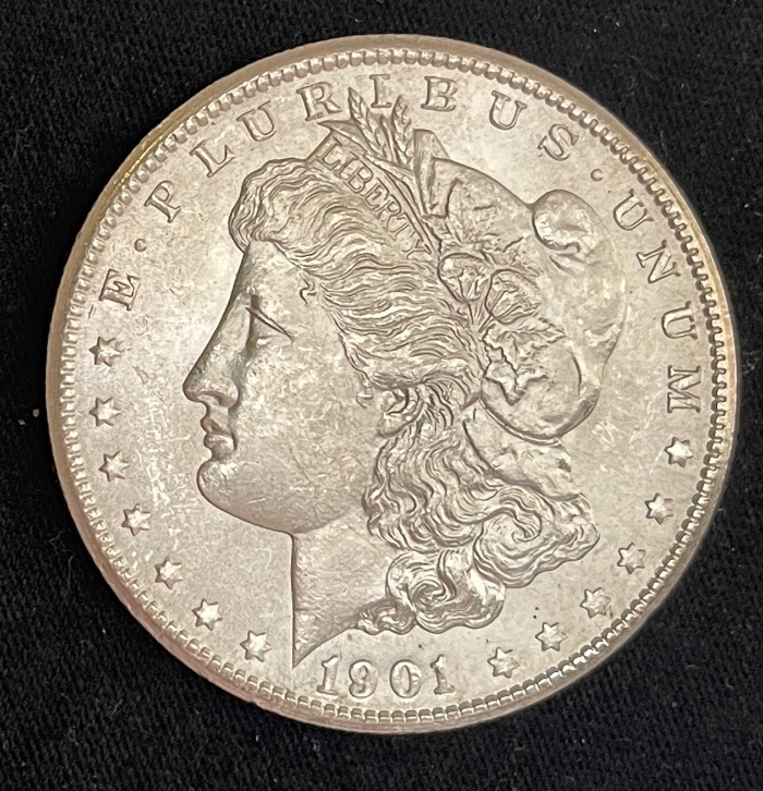 1901-S-Morgan---Grade-It!