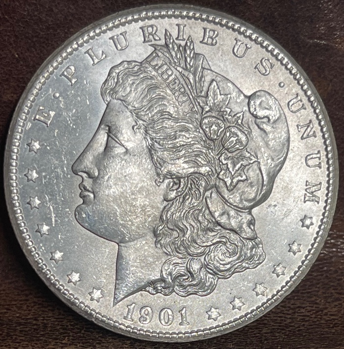 1901-S-Morgan---Grade-It!