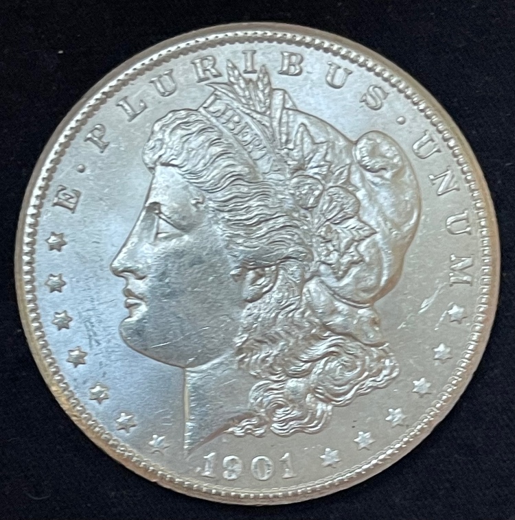 1901-S-Morgan---Grade-It!