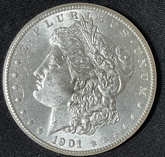 1901-S-Morgan---Grade-It!
