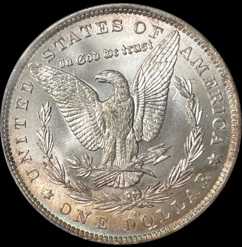 1884-O-Morgan-You-Vs-PCGS