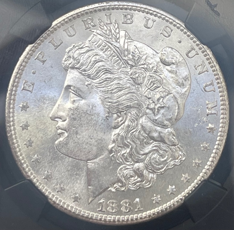 1881-S-Morgan---Grade-It!