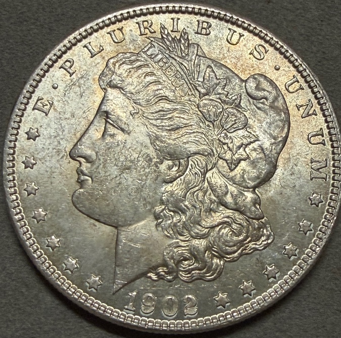 1902-O-Morgan---Grade-It!