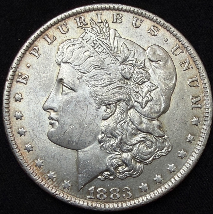 1883-O-Morgan-#2---Grade-It!